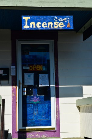 psychic shop_pincus-1