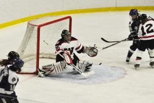 whockey_katten-1