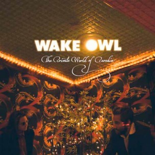 WakeOwl
