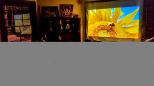 Powell_Queen Bee