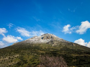McCully_Abroad-1