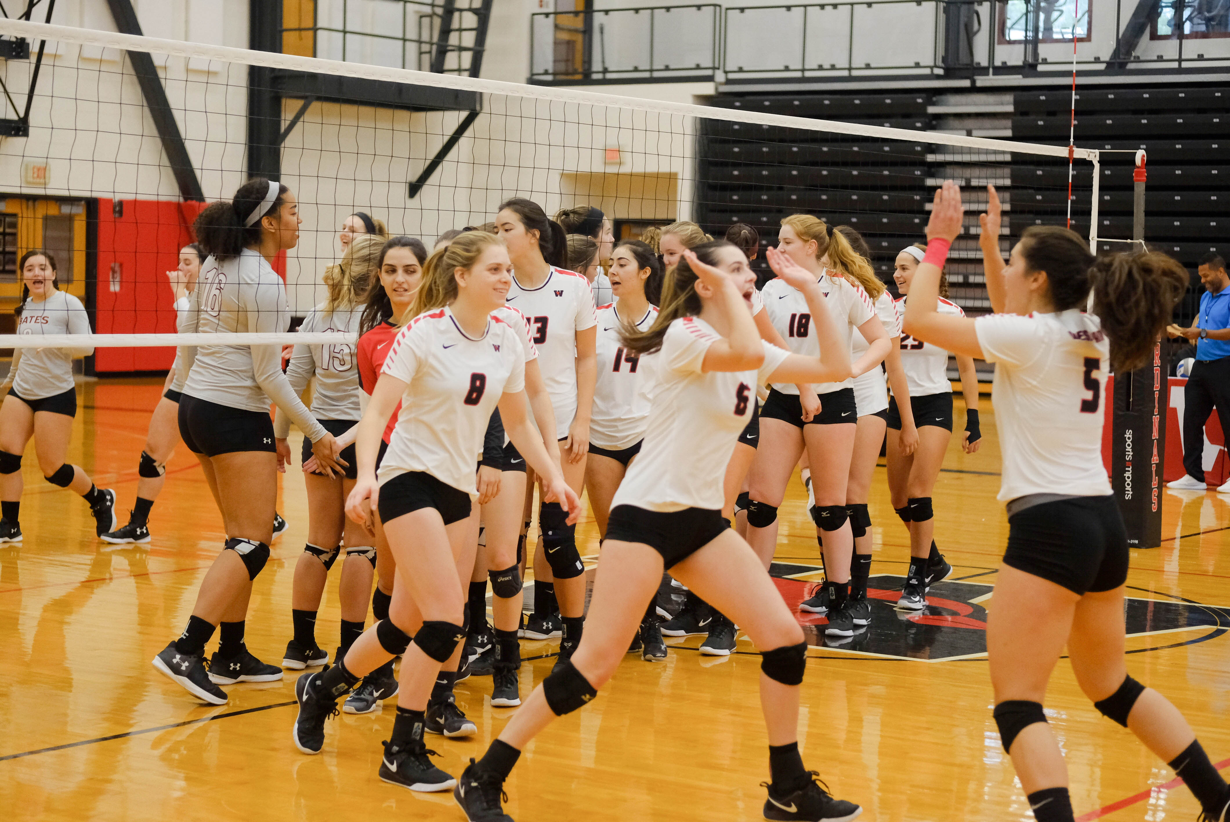 Mingxuan Zhang, Contributing Photographer