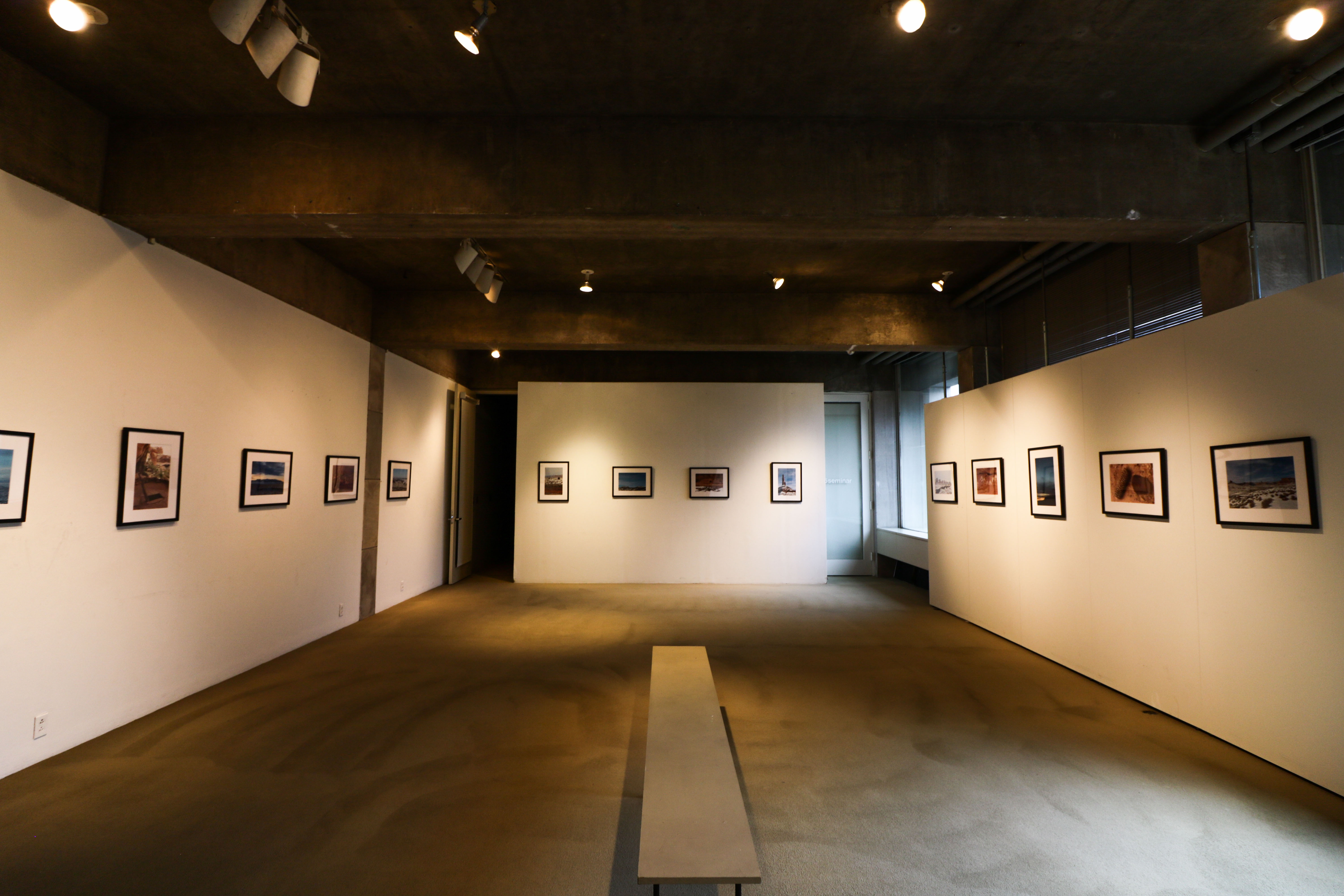 Ava Nederlander, Staff Photographer