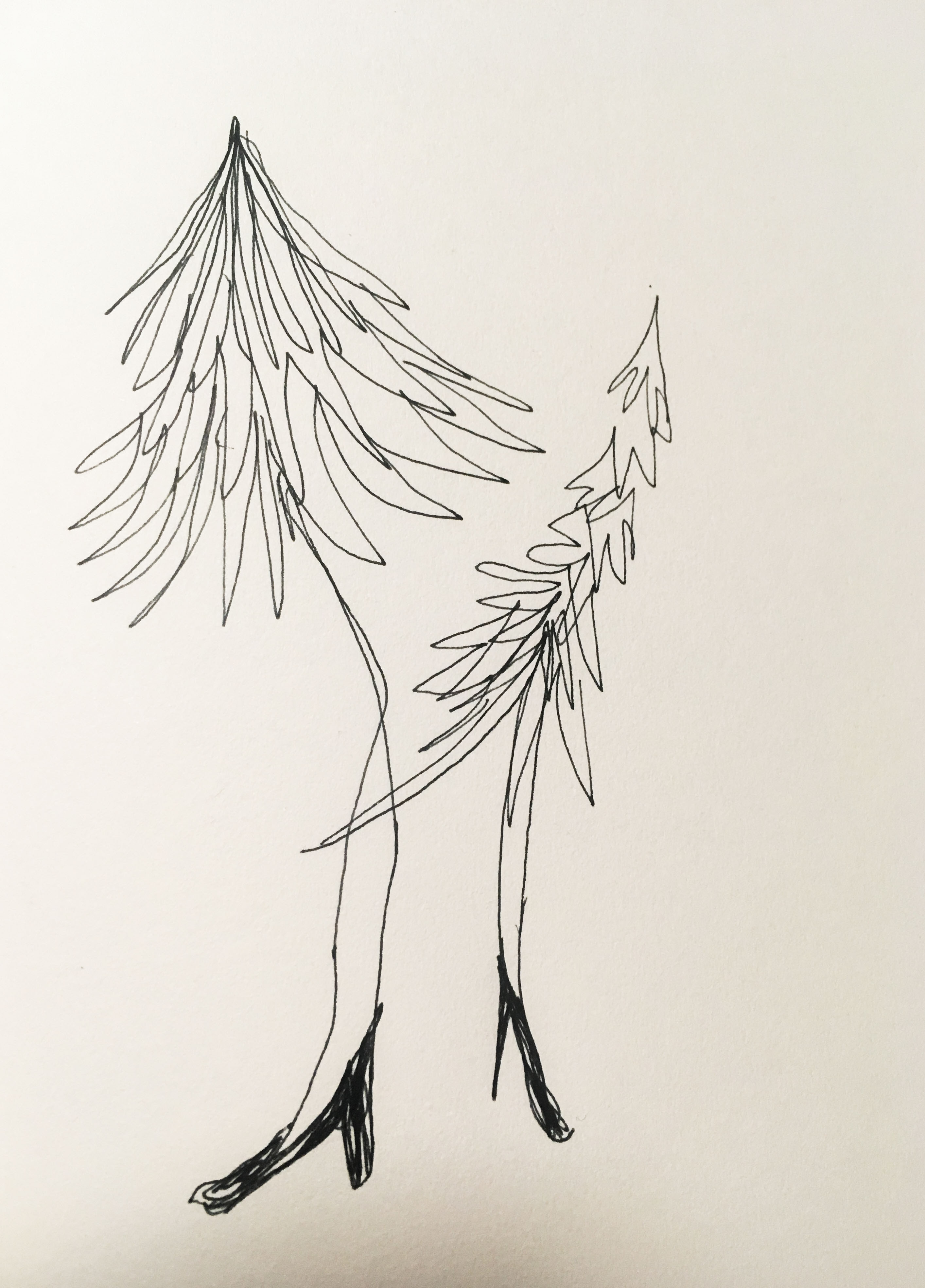 Dani Smotrich-Barr, Photo Editor