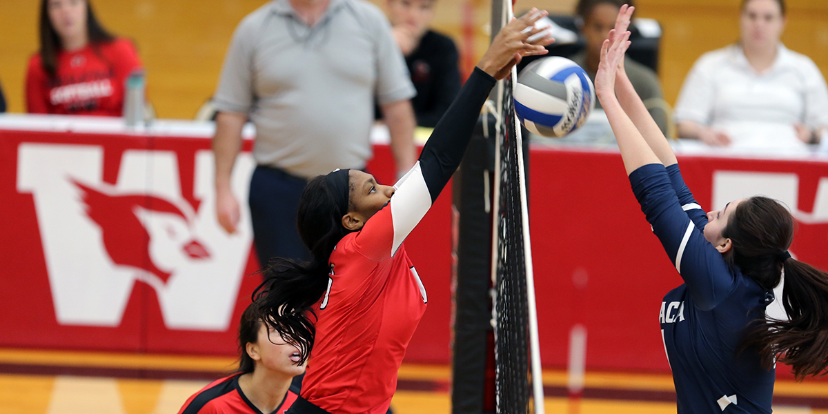 11/2/2019 Wesleyan Volleyball Vs Ithaca. Photo by Stan Godlewski
