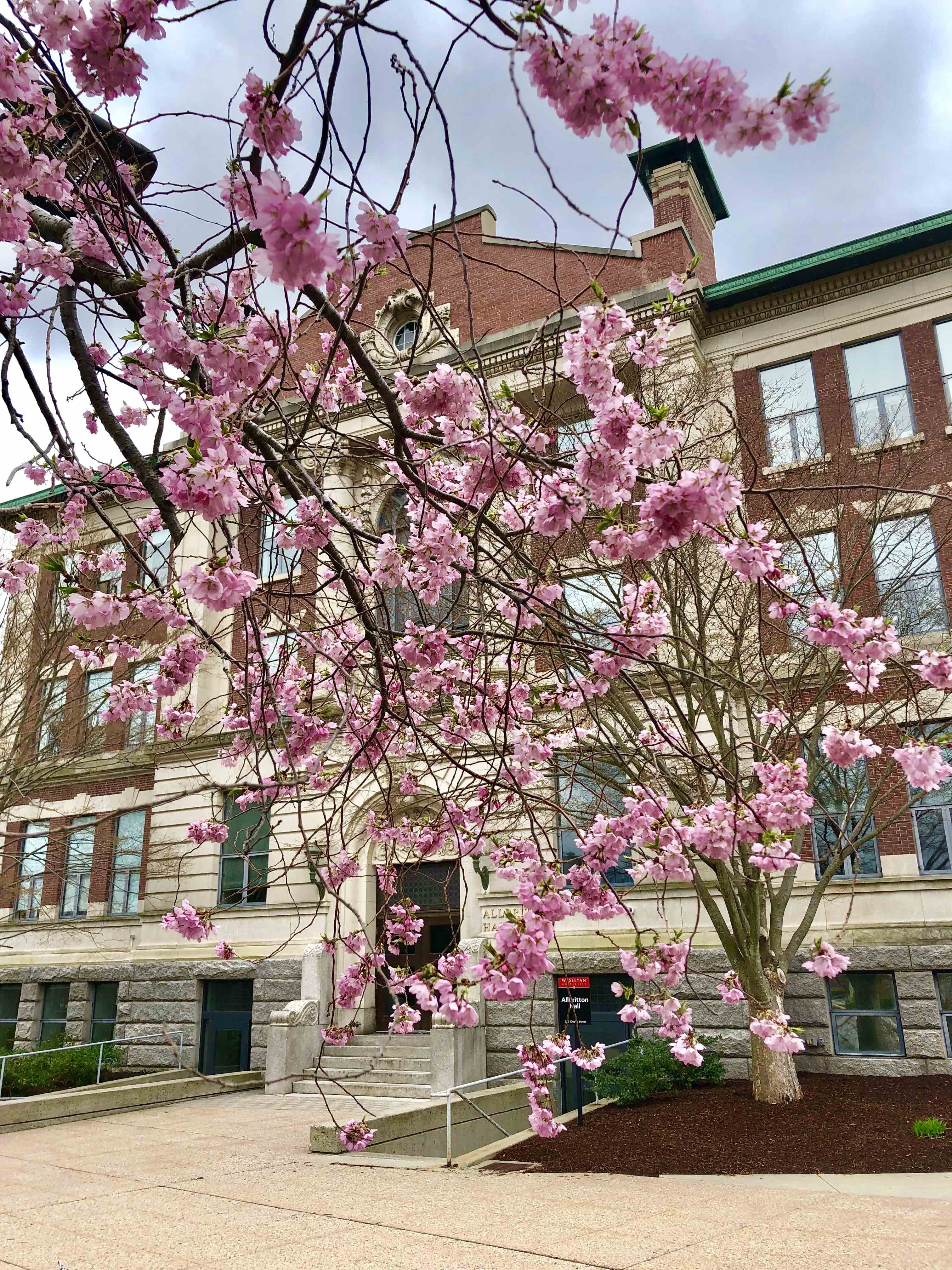 c/o Ava Nederlander, Photo Editor