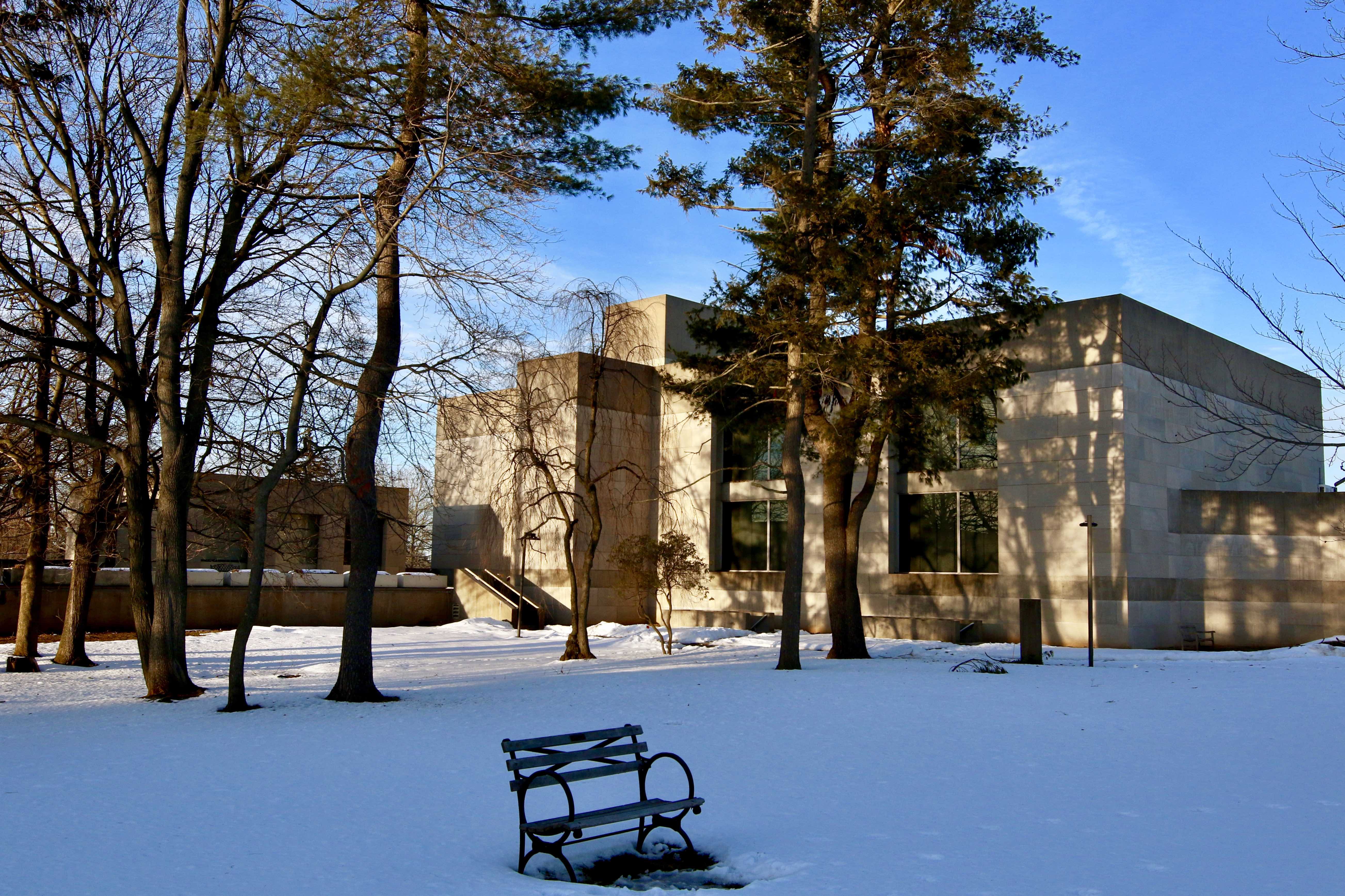 c/o Avi Friederich, Staff Photographer