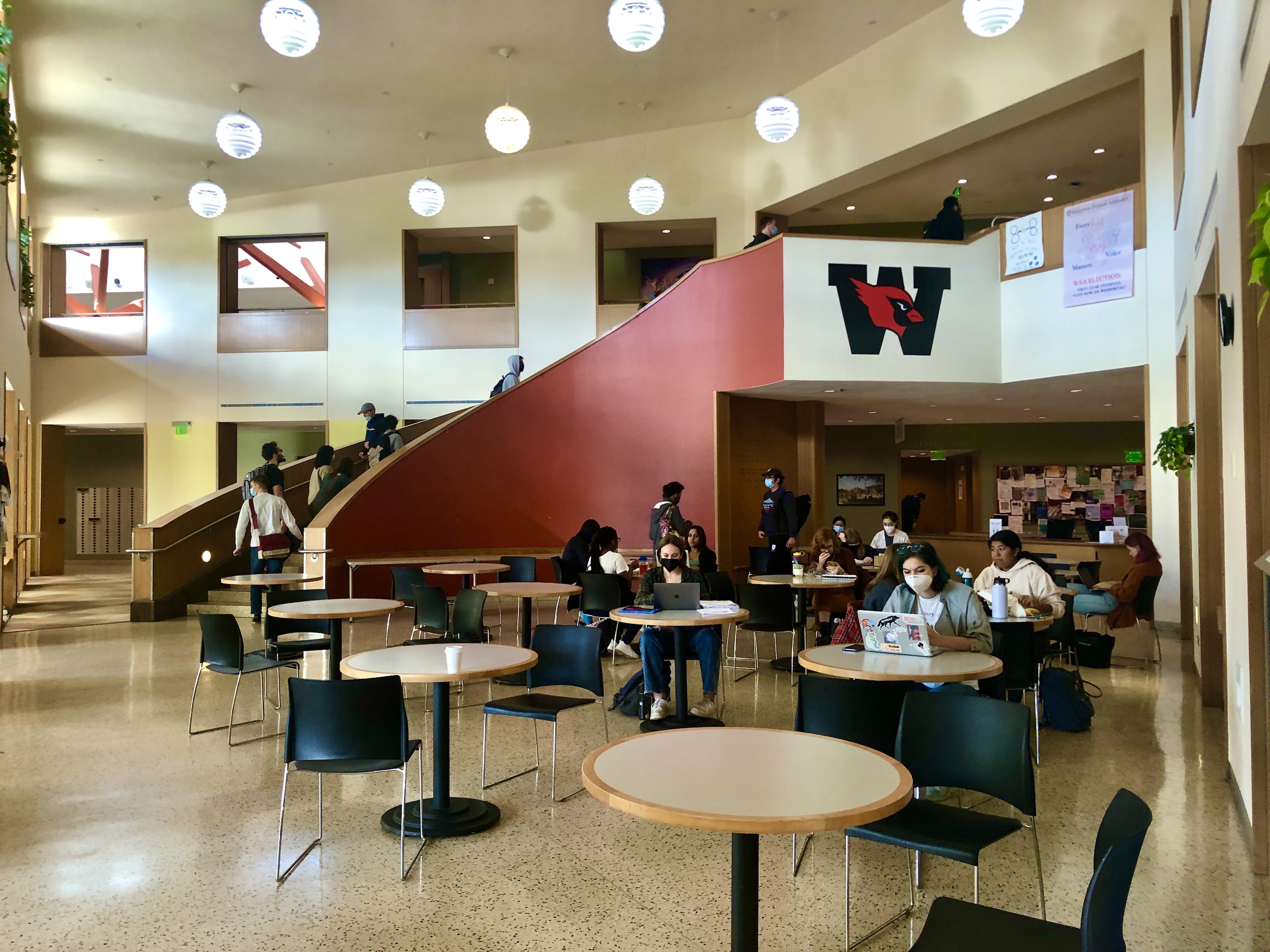 c/o Ava Nederlander, Photo Editor