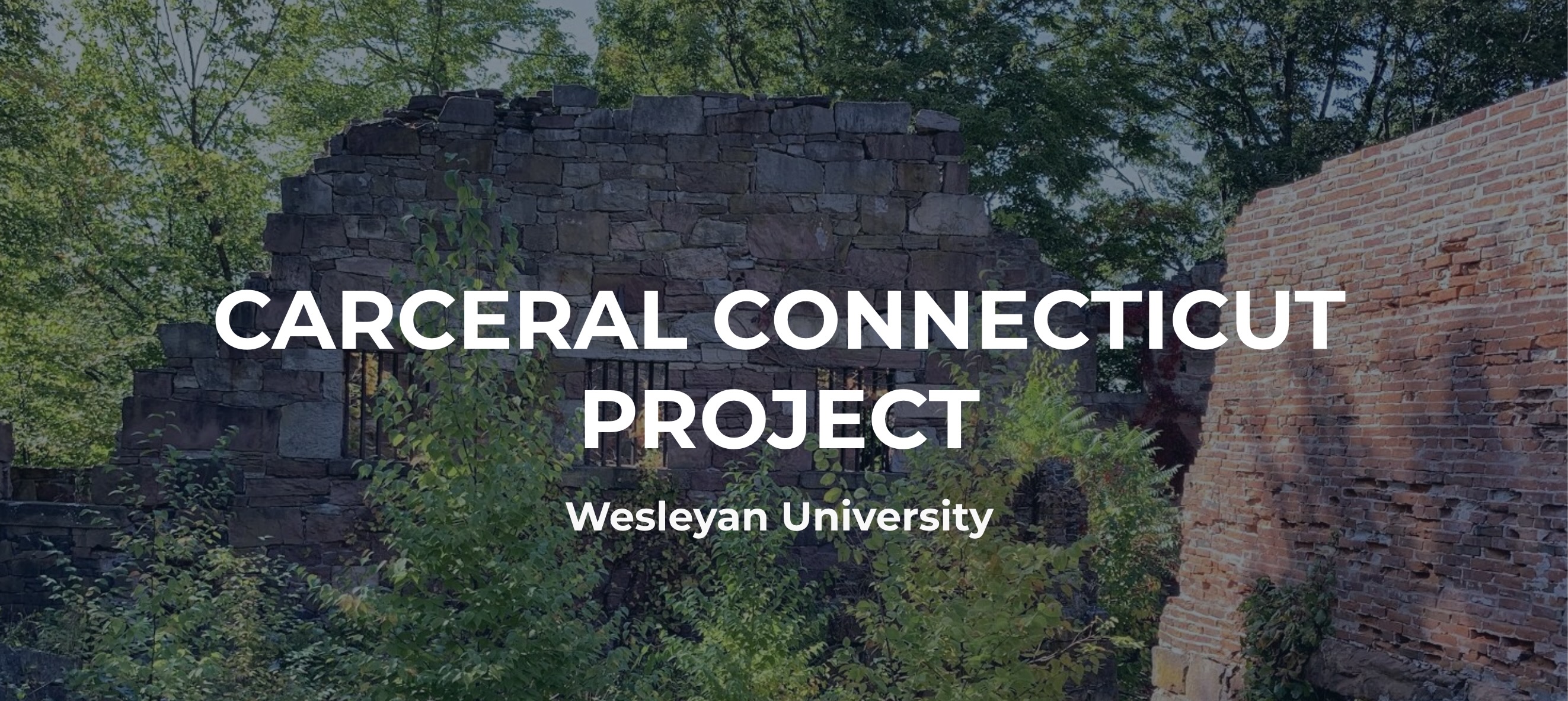 carceralconnecticut.com