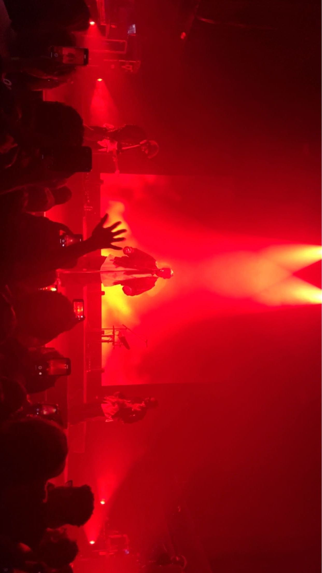 Little Simz in Concert